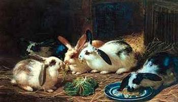 unknow artist Rabbits 116 oil painting image